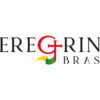 Uma nova jornada: 12 anos de história e uma novidade da Peregrina Brasil para você!